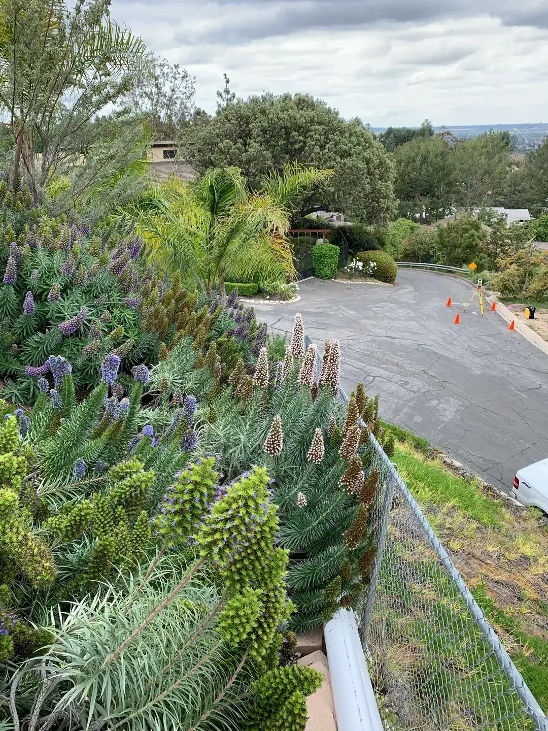 Long shot view of the road from a house through the trees